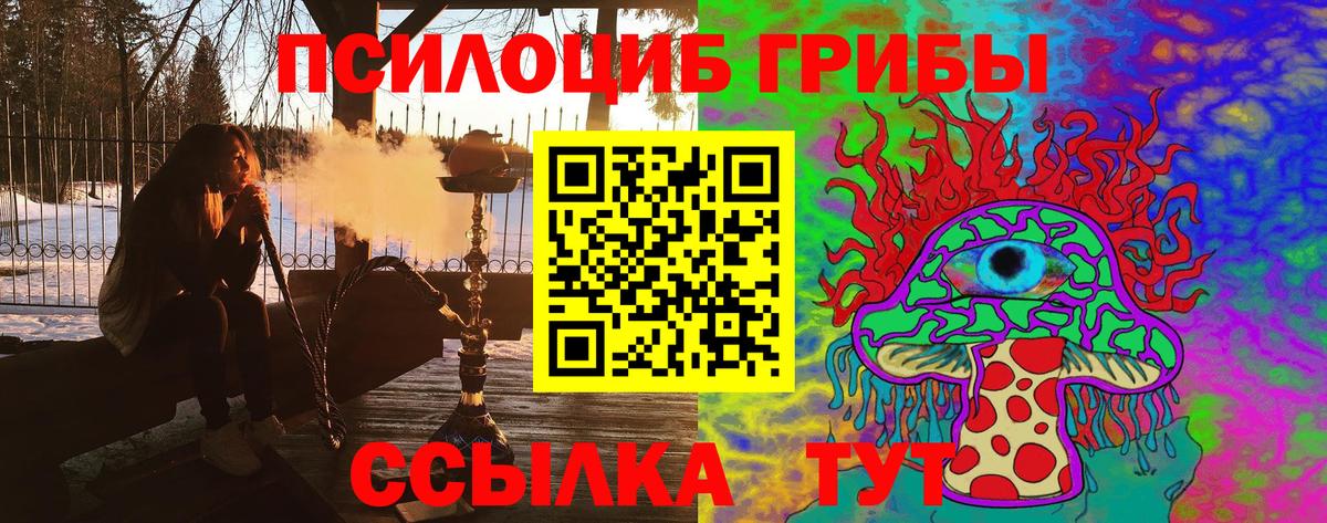 Щёлково  Псилоцибиновые грибы Cubensis  Вход с VPN 